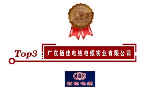 中国电缆骨干厂家排名前十(国内电缆最好的厂家)插图3