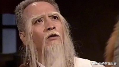 神雕侠侣的武功排名前十(神雕侠侣前50武功排名)插图7 神雕侠侣的武功排名前十(神雕侠侣前50武功排名)插图7