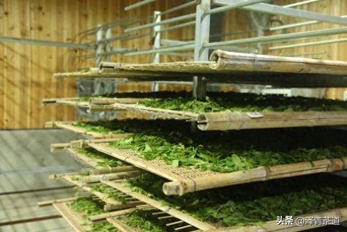 十大茶叶产品排行榜前十名(过期茶叶十大妙用)插图40
