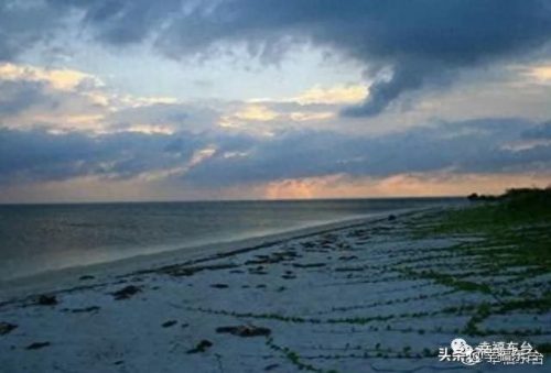 盐城品质硅藻泥排名前十(盐城耐用硅藻泥哪家好)插图4 盐城品质硅藻泥排名前十(盐城耐用硅藻泥哪家好)插图4