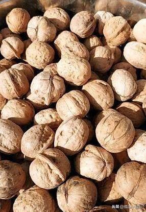 交城县十大美食店排行榜(交城地摊美食)