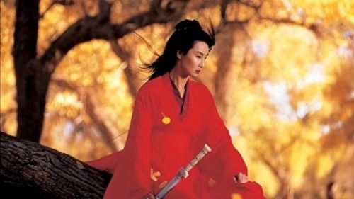 近十年十大武侠电影排行榜(历年十大武侠电影)插图19