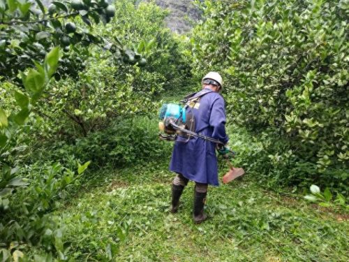 冬奥会水果排名前十(冬奥会创意水果)插图18 冬奥会水果排名前十(冬奥会创意水果)插图18