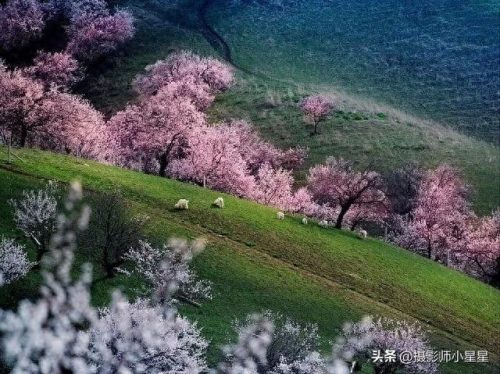 人像摄影十大城市排行榜(全国十大摄影城市)插图67 人像摄影十大城市排行榜(全国十大摄影城市)插图67