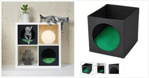 中国猫窝垫十大品牌排行榜(中国猫窝垫十大品牌)插图31 中国猫窝垫十大品牌排行榜(中国猫窝垫十大品牌)插图31