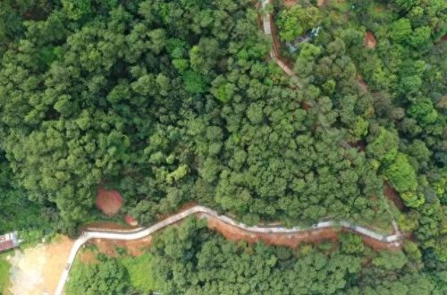 阳春旅游(阳春旅游景点)插图34