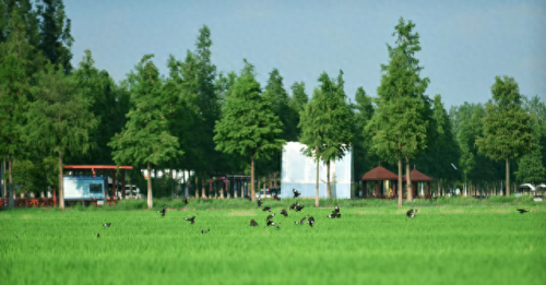 江苏露营十大圣地排行榜(江苏国庆露营路线推荐)插图23