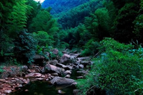 中国十大竹海景区排行榜(中国竹海景点排名前十名)插图13 中国十大竹海景区排行榜(中国竹海景点排名前十名)插图13