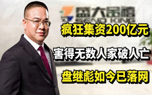 房地产十大领袖企业排行榜(房地产十大龙头排名表)插图6