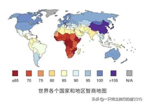 非洲最聪明国家排名前十(非洲美女最多的国家)插图 非洲最聪明国家排名前十(非洲美女最多的国家)插图
