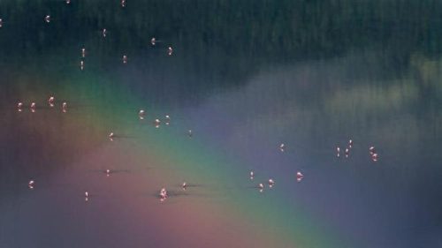 世界十大神剧经典排行榜(全球十大新剧排行榜)插图18 世界十大神剧经典排行榜(全球十大新剧排行榜)插图18