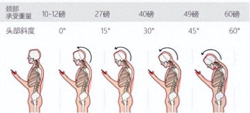 护颈椎枕头 十大品牌排行榜(枕头好的品牌国产)插图1