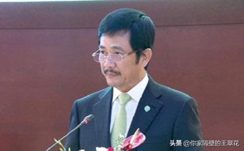 越南前十大富豪排行榜图片(越南富豪榜名单)插图8