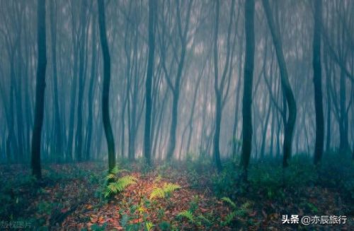 重庆夏季旅游十大排行榜(重庆三天最佳攻略)插图4