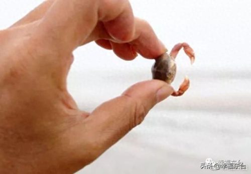 盐城品质硅藻泥排名前十(盐城耐用硅藻泥哪家好)插图10 盐城品质硅藻泥排名前十(盐城耐用硅藻泥哪家好)插图10