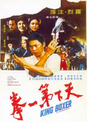 十大不火功夫明星排行榜(功夫明星蘑菇头是谁)插图15