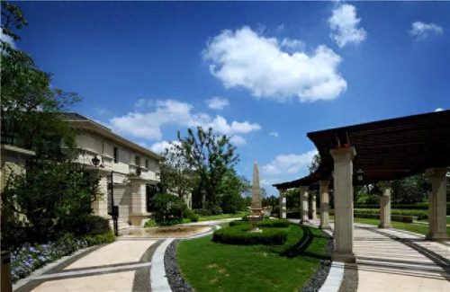 昆山小院绿植销售排名前十(昆山花桥绿植批发排名)插图1 昆山小院绿植销售排名前十(昆山花桥绿植批发排名)插图1