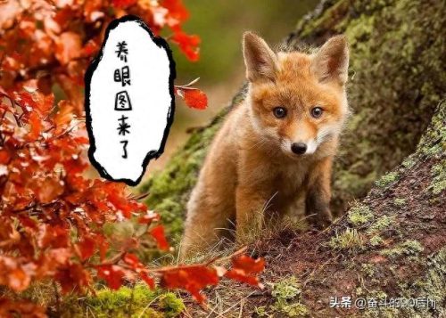 农场赚钱游戏十大排行榜(农场赚钱版游戏大全)插图1