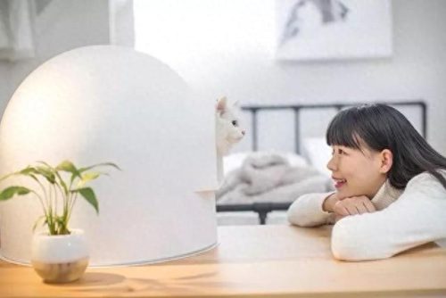 中国猫窝垫十大品牌排行榜(中国猫窝垫十大品牌)插图44 中国猫窝垫十大品牌排行榜(中国猫窝垫十大品牌)插图44