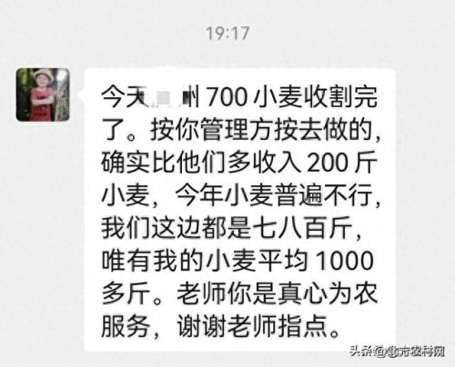 河南小麦种植面积排名前十(河南小麦产量最高的几个县)