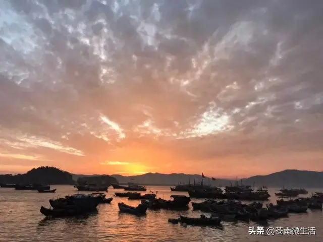 霞关十大民宿排行榜(苍南霞关最好的宾馆)插图4