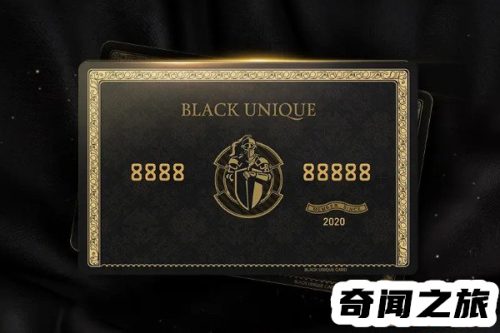 全球购骑士卡是从哪来的(全球购物骑士卡app下载)插图2