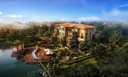 昆山小院绿植销售排名前十(昆山花桥绿植批发排名)插图5 昆山小院绿植销售排名前十(昆山花桥绿植批发排名)插图5