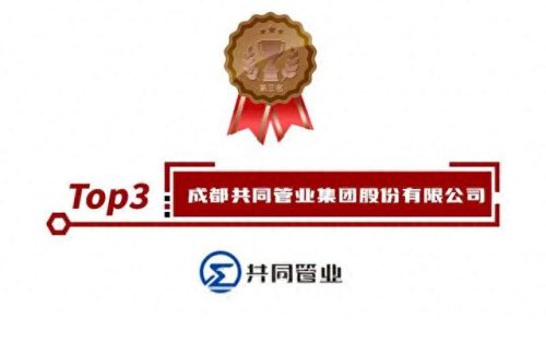 管道十大名牌排行榜2019级(管道品牌一线排行榜)插图2
