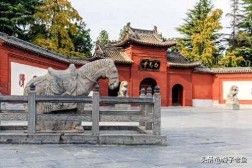 十大烟花歌曲排行榜(网红十大烟花音乐)插图4