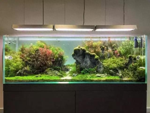 鱼缸水草灯十大品牌排行榜(鱼缸灯最佳品牌)插图11