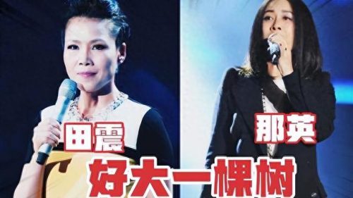 内地天后(内地天后女歌手)插图26