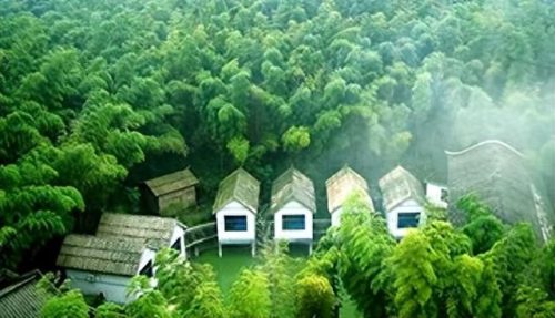 中国十大竹海景区排行榜(中国竹海景点排名前十名)插图4 中国十大竹海景区排行榜(中国竹海景点排名前十名)插图4