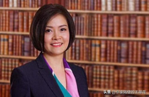 越南前十大富豪排行榜图片(越南富豪榜名单)插图7