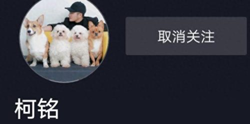 十大萌宠主播排行榜最新(十大宠物主播排行)插图4 十大萌宠主播排行榜最新(十大宠物主播排行)插图4