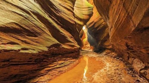 十大必去的网红景点排行榜(花溪十大网红景点)