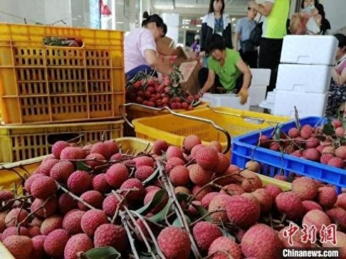 十大品牌水果排行榜前十名(十大补钙水果)插图