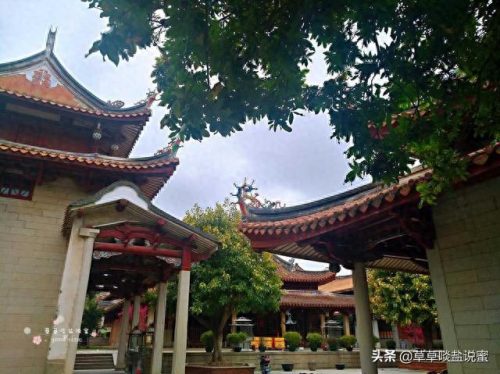 崇福县十大美食排行榜图片(崇福羊肉面哪家好吃)插图11