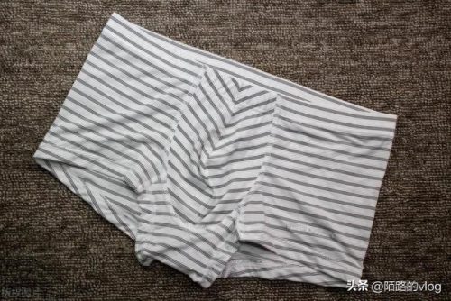 裤衩子十大品牌排行榜最新(裤衩品牌排名前十)插图1