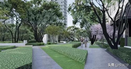 长沙小区绿地率排名前十(长沙最差楼盘排名)插图24