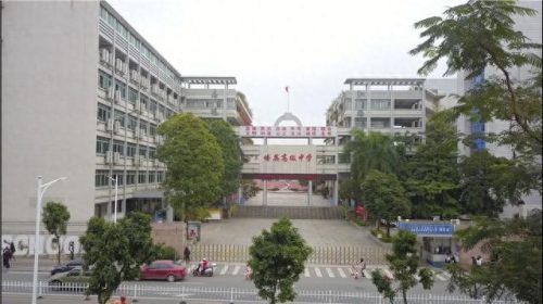 台山以前十大高中排行榜(台山市高中排名一览表)插图6