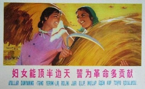 宁夏吴忠排名前十的人物(宁夏名人录大全)插图8 宁夏吴忠排名前十的人物(宁夏名人录大全)插图8