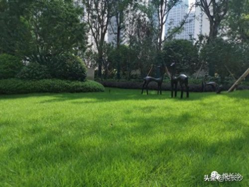 长沙小区绿地率排名前十(长沙最差楼盘排名)插图7