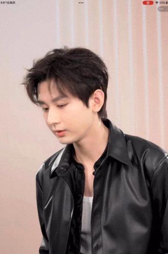 盘点十大颜值男星排行榜(香港男星颜值巅峰合集今日头条)插图2