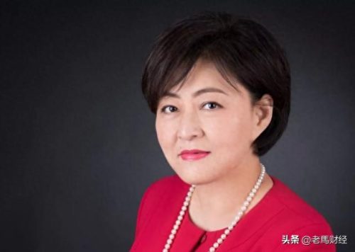 上海富豪十大排行榜(上海崇明十大老板)插图5