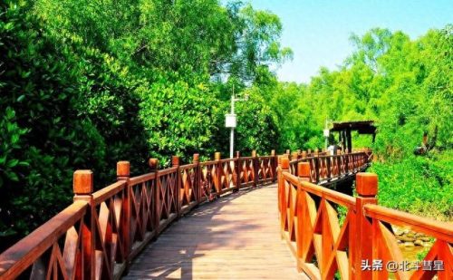 广东好玩的景点排名榜前十(广东有什么好玩的景点排行榜)插图49