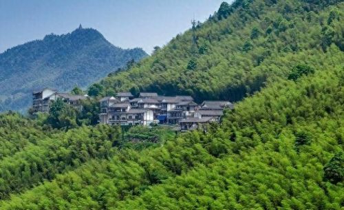 中国十大竹海景区排行榜(中国竹海景点排名前十名)插图11 中国十大竹海景区排行榜(中国竹海景点排名前十名)插图11