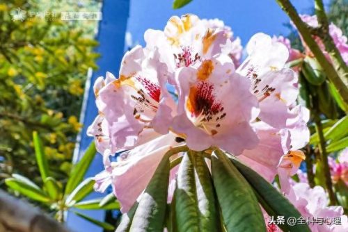 避暑旅游景点大全排名前十(同安避暑网红景点)插图19