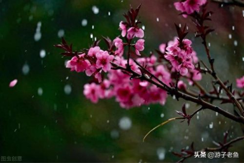 十大烟花歌曲排行榜(网红十大烟花音乐)插图6