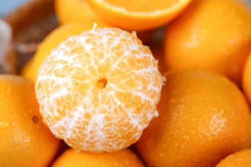 冬奥会水果排名前十(冬奥会创意水果)插图24 冬奥会水果排名前十(冬奥会创意水果)插图24