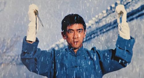 十大不火功夫明星排行榜(功夫明星蘑菇头是谁)插图11